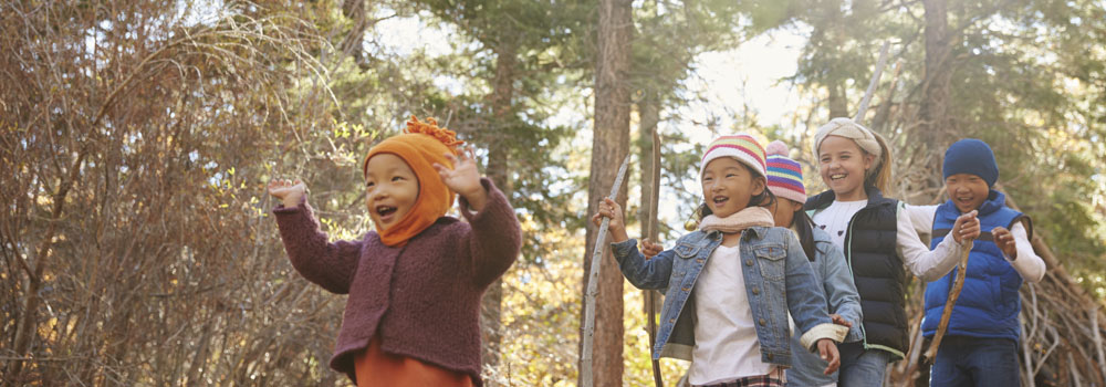 Five young children playing together in a forest, low angle view